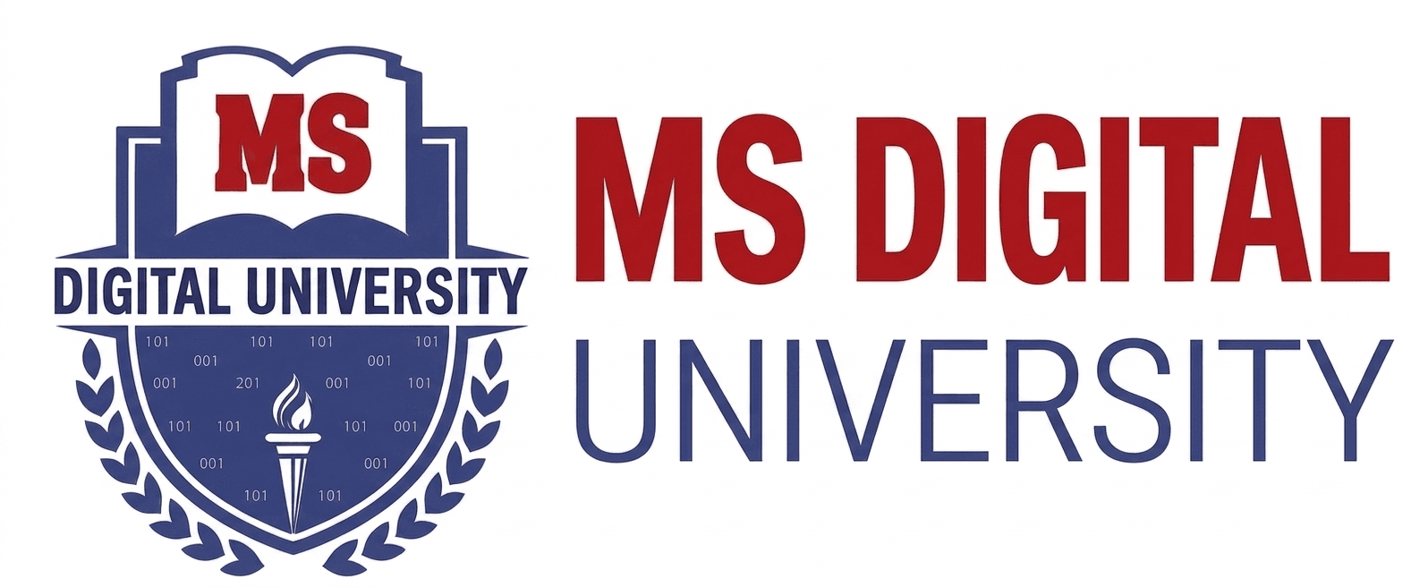 MS Digital University